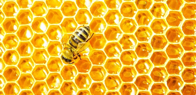 Срок годности меда: есть ли он, какой по ГОСТу, сколько составляет время хранения натурального пчелиного продукта при комнатной температуре и в иных условиях?
