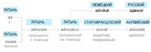 СПЧ подготовил специальные меры по повышению роли адвокатуры