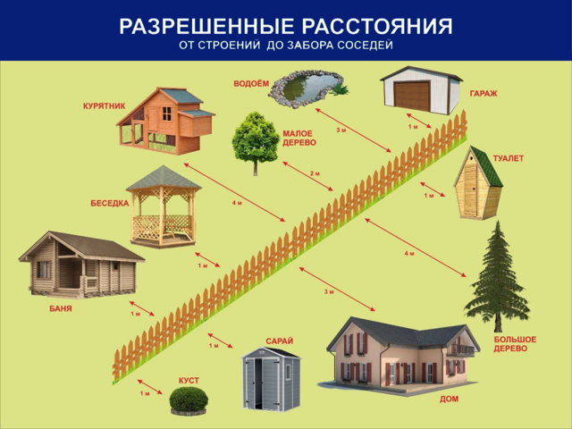 Как избавиться от змей на участке, чтобы никто не пострадал - Лайфхакер