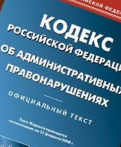 Административная ответственность должностных лиц: виды нарушений, основания и порядок привлечения