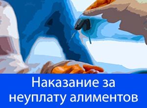 Бывший муж не платит алименты что делать: куда обращаться, что делать если приставы бездействуют