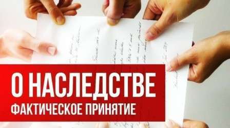 Заявление об установлении факта принятия наследства (образец): порядок подачи искового заявления в суд