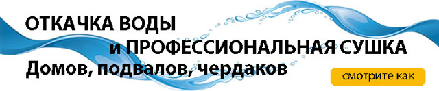 Скажите, пожалуйста, как лучше оформить дачный участок-дарственная или купля-продажа (участок родителей)?