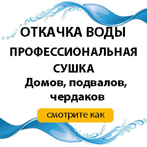 Скажите, пожалуйста, как лучше оформить дачный участок-дарственная или купля-продажа (участок родителей)?