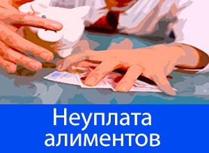 Бывший муж не платит алименты что делать: куда обращаться, что делать если приставы бездействуют