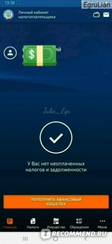 Получить налоговый вычет, сдать декларацию можно через приложение «Налоги ФЛ»