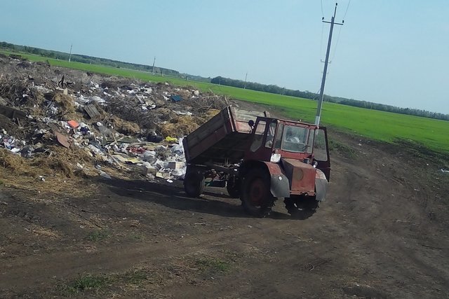 Штрафы и конфискация машины за выброшенный мусор: сумма, от чего зависит