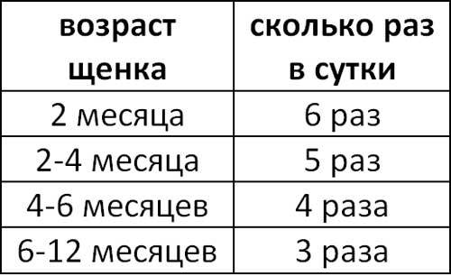 Правомерность содержания собаки на цепи 2023