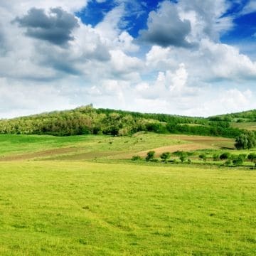 Как проходит заключение договора аренды земельного участка с администрацией 2023