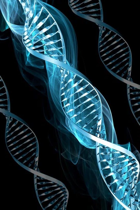 Подтвердить родство по ДНК