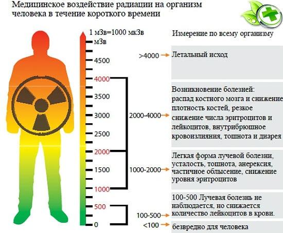Норма радиации для человека: допустимая доза в мкР/ч, зивертах и микрозивертах в городе