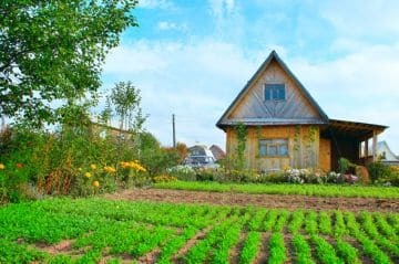 Земельный Участок Для Молодой Семьи Условия Получения И Необходимые Документы В 2023 Году