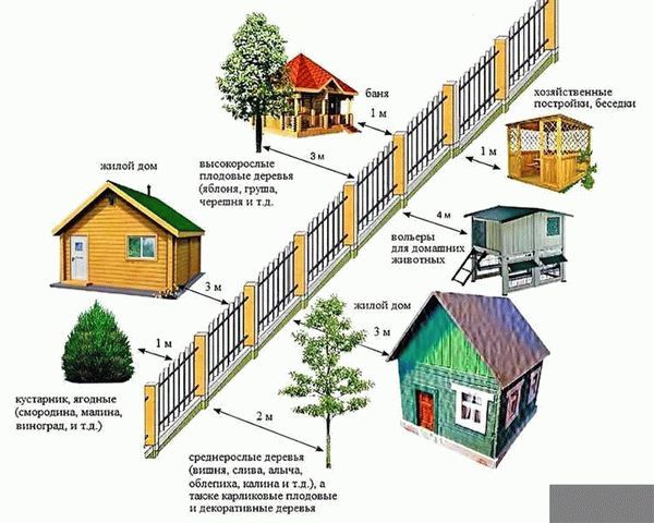 Забор между соседними участками: высота или параметры забора в деревне по закону в 2023 году, требования и нормы этого на даче