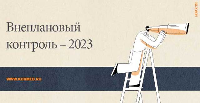 План проверок Росздравнадзора на 2023 год